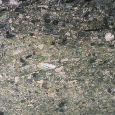 Verde Marinace Close