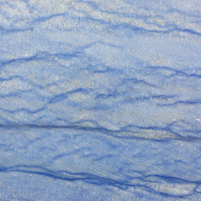 Blue Macauba Close 1