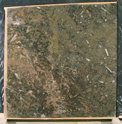 Fossil Brown Slab Fossil Brown Slab
