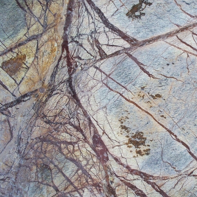 Rainforest Brown Close