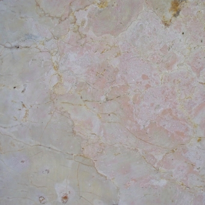 Tea Rose Close Tea Rose Close