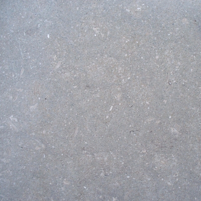 Caspian Shellstone Close 1