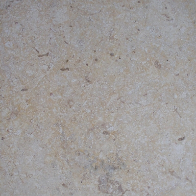 Seashell White Close