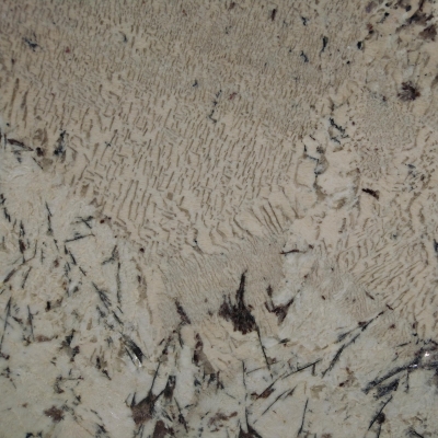 Delicatus Granite Close View