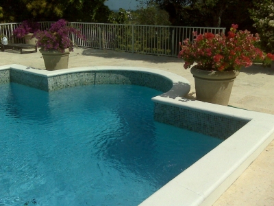 Seashell White Pool Coping Seashell White Pool Coping